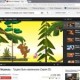 Как скачать видео с YouTube